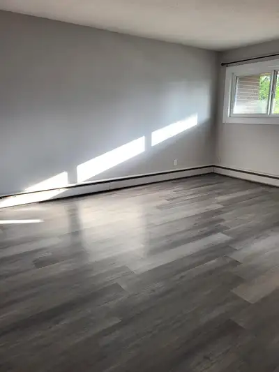 $1150/Month on a One Year Lease! Security Deposit $600 Free October Rent! One Bedroom Apartment Avai...