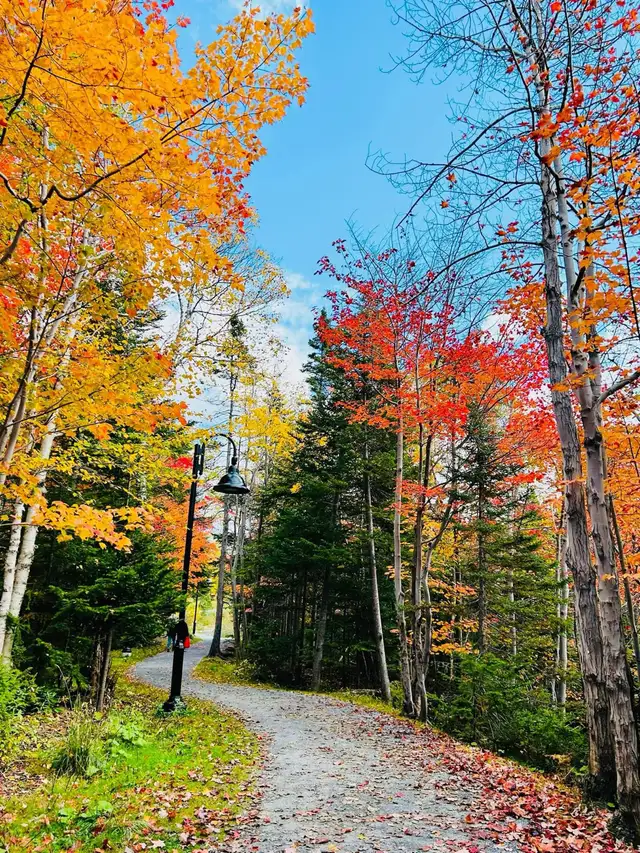 Looking for 1-2 Bedroom apartment in Long Term Rentals in Corner Brook - Image 2