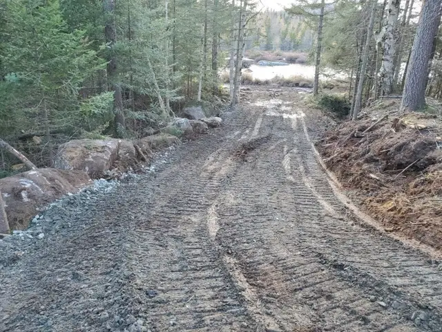 EXCAVATION +++ FORESTRY64840195046403124