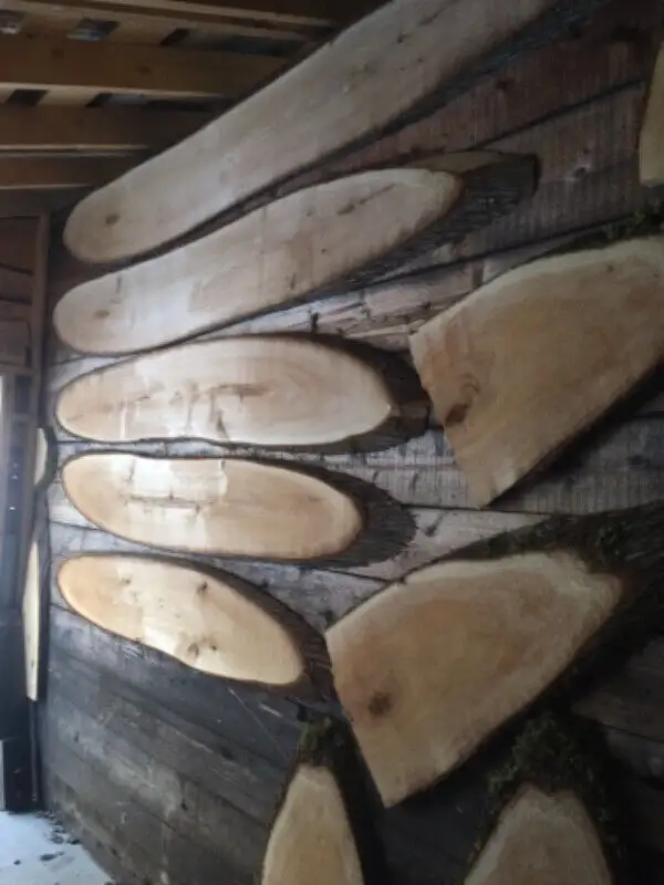 Enseigne Bois Cèdre live edge in Arts & Collectibles in Edmundston - Image 3