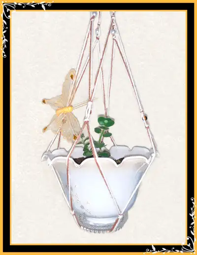 WHITE / COCO COLOR PLANTER HANGER WITH KALANCHOE, View more