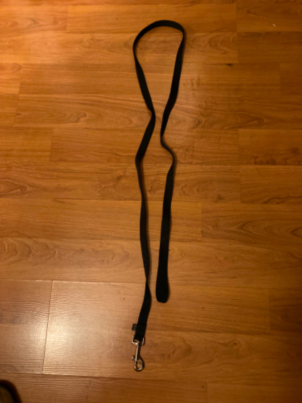 6 foot dog leash in Accessories in Edmonton