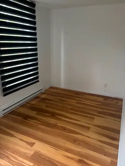 Grand 3 1/2 situé à Hochelaga-Maisonneuve disponible juillet ou août dans l’est au 2e étage, 1 chamb...