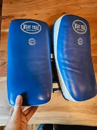 Muay Thai training pads