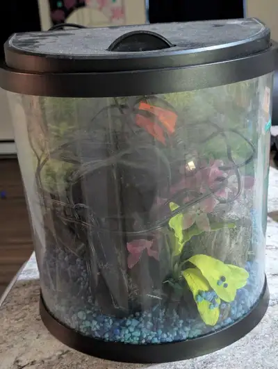 fish tank , View more