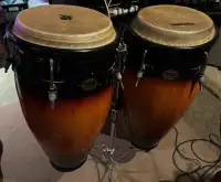 MP Congas & stand