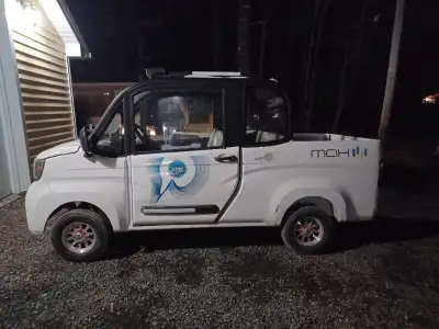 60 volt ,forward/reverse,wiper,back up camera,signal lights,horn,hydraulic disc brakes