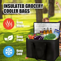 X-large Food Delivery Bag ( Brand New)