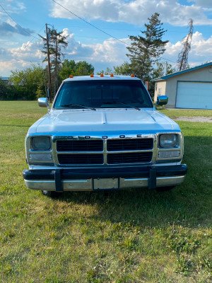 1993 Dodge Other Pickups LE