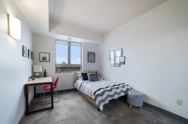 Room for Rent - Female Students only in Room Rentals & Roommates in Oshawa / Durham Region - Image 6