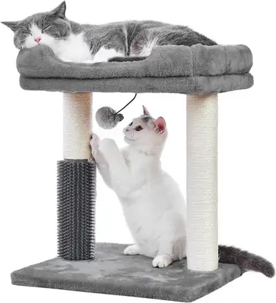 Cat scratch post kijiji best sale