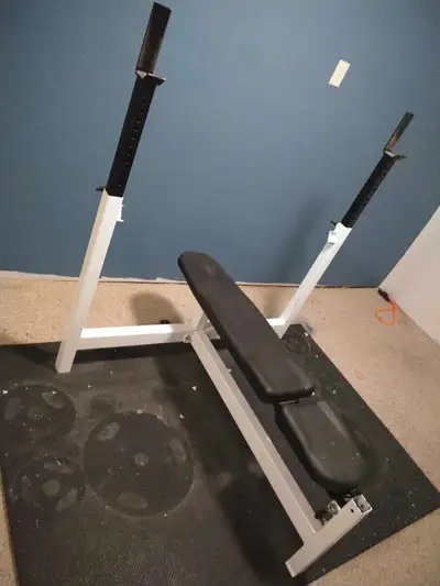 Northern Lights Weightlifting Bench with Stands, View more