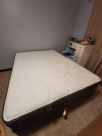 Sterns & Foster Queen size mattress and box spring