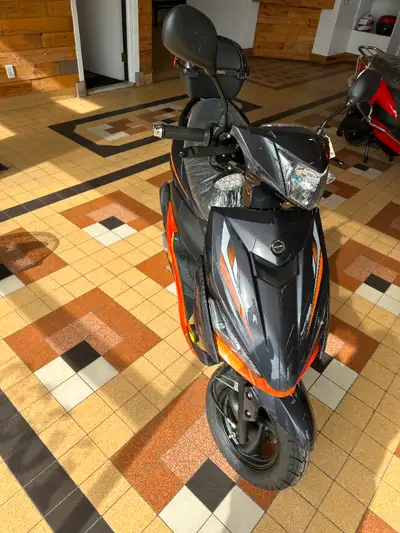 LA SAISON COMMENCE , SCOOTER A GAZ 49 CC NEUF A VENDRE , DE LA MARQUE ''SCORPION '' MODELE '' RALLY...