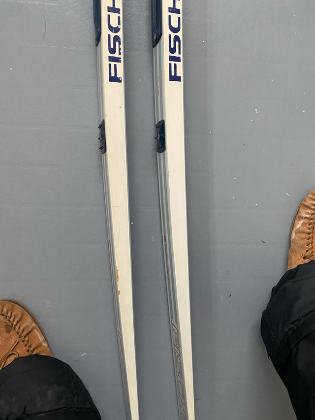 Vintage Fischer skis cross country in Ski in Winnipeg - Image 4