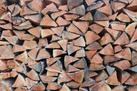 Dry fir firewood