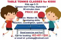 Table tennis classes!