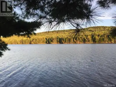 Are you looking for land to build your dream home or a family home or options to have an inlaw suite...