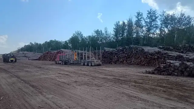 Truckload Firewood Delivery Across Saskatchewan  in Plants, Fertilizer & Soil in Regina - Image 6