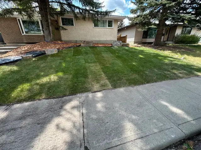 Sod installation630073584808991218