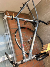 Bike frame for sell
