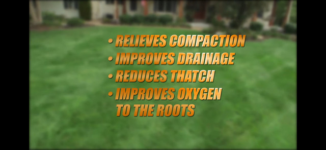 ***Quality Lawn Aeration***  $60.00 base rate in Lawn, Tree Maintenance & Eavestrough in Winnipeg - Image 2