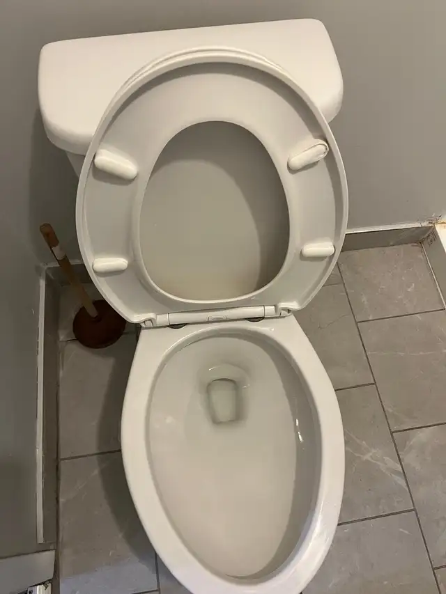 AffordableCleaningLady577848556075110404