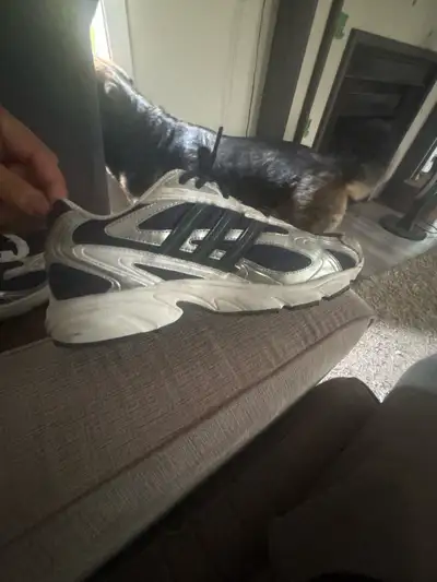 size 10.5 adidas shoes , View more