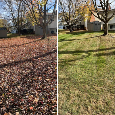 Fall Leaf Cleanup, Pruning & Yard Cleanup, View more