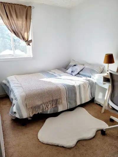 Chambre à louer