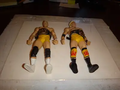 figurines de lutte de la wwe wwf tag team set, View more