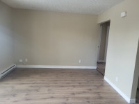 2 bedrooms Apartment in 61  Murray