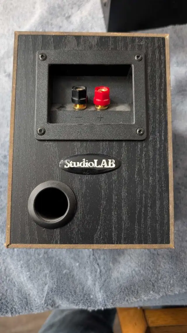 StudioLab Speakers in Speakers in Markham / York Region - Image 3