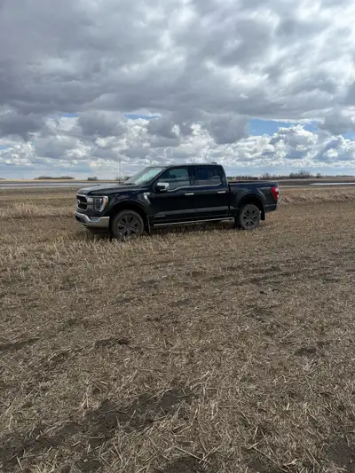 2022 Ford F150 Super Crew cab. 3.5 litre engine. Fully loaded. Lots of options. 4x4 AWD. King ranch....