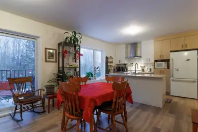Appartement 4 1/2 lumineux et chaleureux à louer juin ou juillet 2026. Chiens & Chats sont les bienv...
