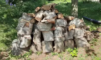 Bois à donner