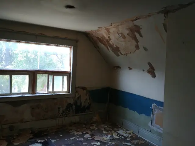 PROFESSIONAL DRYWALL, PLASTER RESTORATION AND PAINT62865709825026124