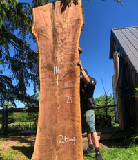 Live Edge Wood Slabs | Kiln Dried Lumber