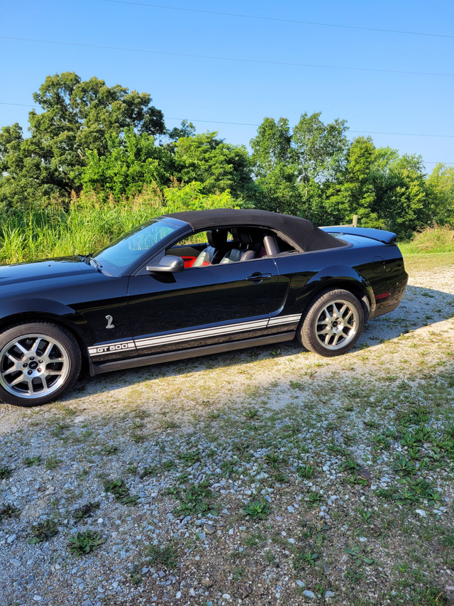 2007 Mustang Shelby GT500 Convertible in Cars & Trucks in Oshawa / Durham Region