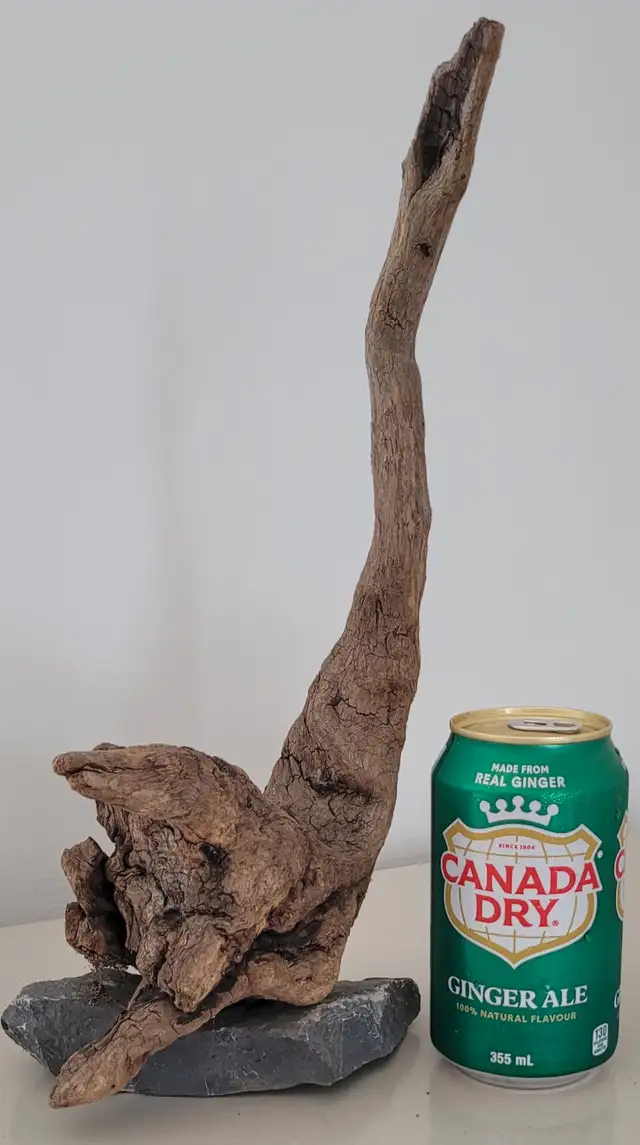 Petit Bois Flotté Accessoire sur base Aquarium Driftwood w/base in Hobbies & Crafts in Laval / North Shore - Image 6