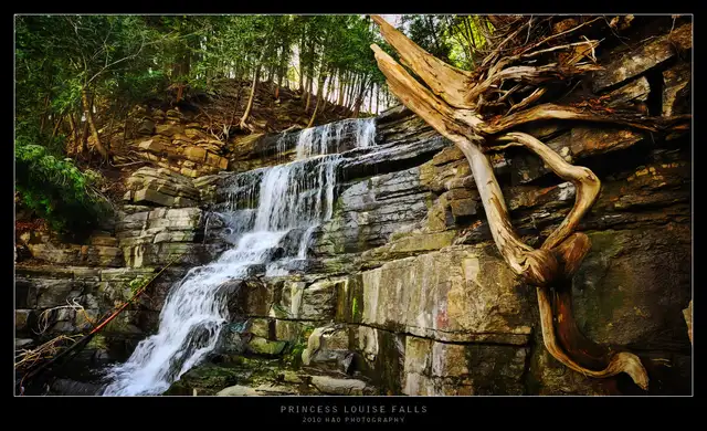 Looking for a Friend / amie64230815774081121