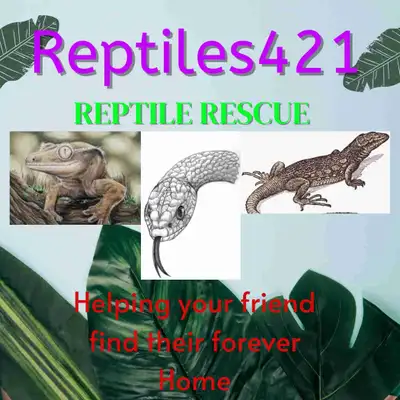Reptile Rescue , View more