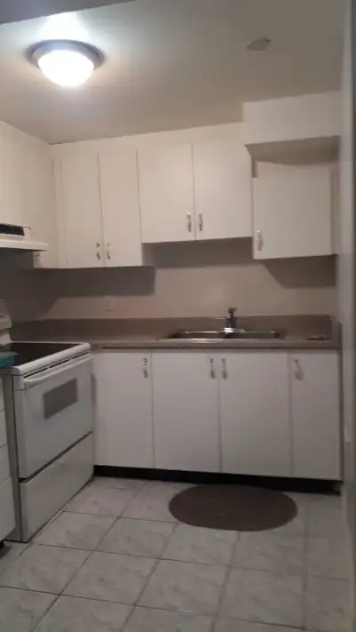 1 bedroom basement apt for rent on 1 Nov. 2026