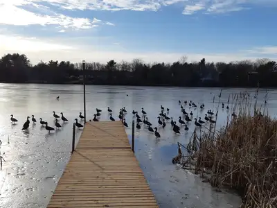 Private home on 2 acres with lake frontage, furnished, 1248 sq ft. 2 bdrm, 1 bath NEW: Roofs, 3 Mits...