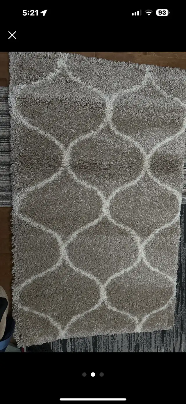 Safavieh Hudson Shag Rug in Rugs, Carpets & Runners in Oshawa / Durham Region - Image 3