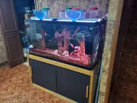 aquarium 90 complete