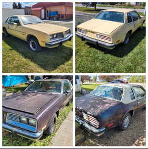1980 Pontiac Sunbird
