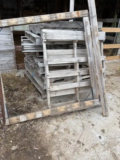 free skids, View more