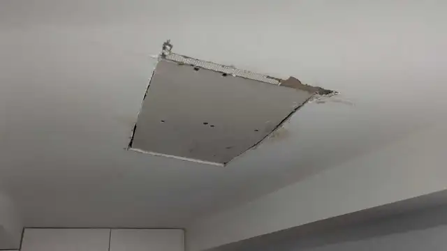 HANDYMAN LICENSED515340096126986246