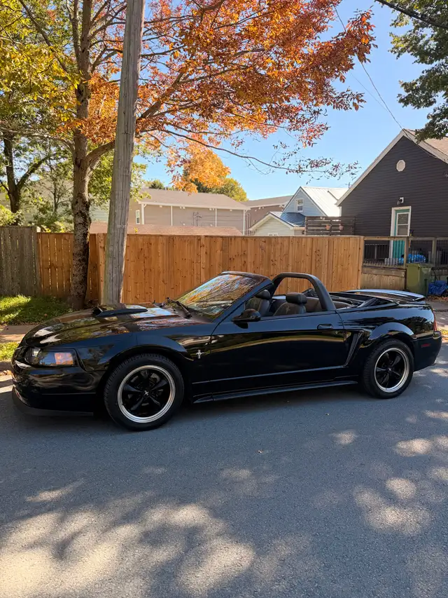 2002 Mustang manual